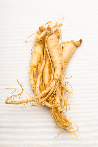 Ginseng