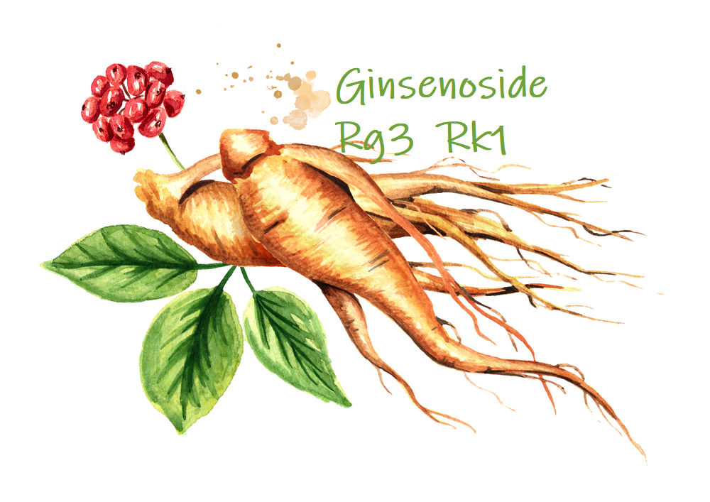 Ginseng Supplementation Shown to Enhance Health-Related Quality of Life for Patients with Non-Metastatic Breast Cancer Patients