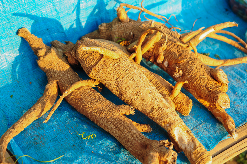 Why ginseng is so expensive?