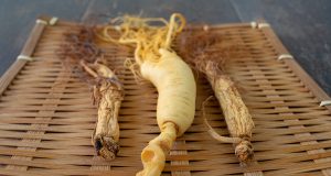 Korean red ginseng: history, health benefits, dosage and preparations, possible side effects, cautions and warnings, and common questions