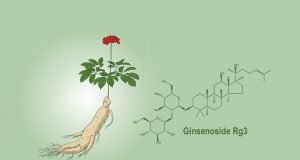 Ginsenoside Rg3 Shows Promise in Enhancing Immune Function for Non-Small Cell Lung Cancer Patients